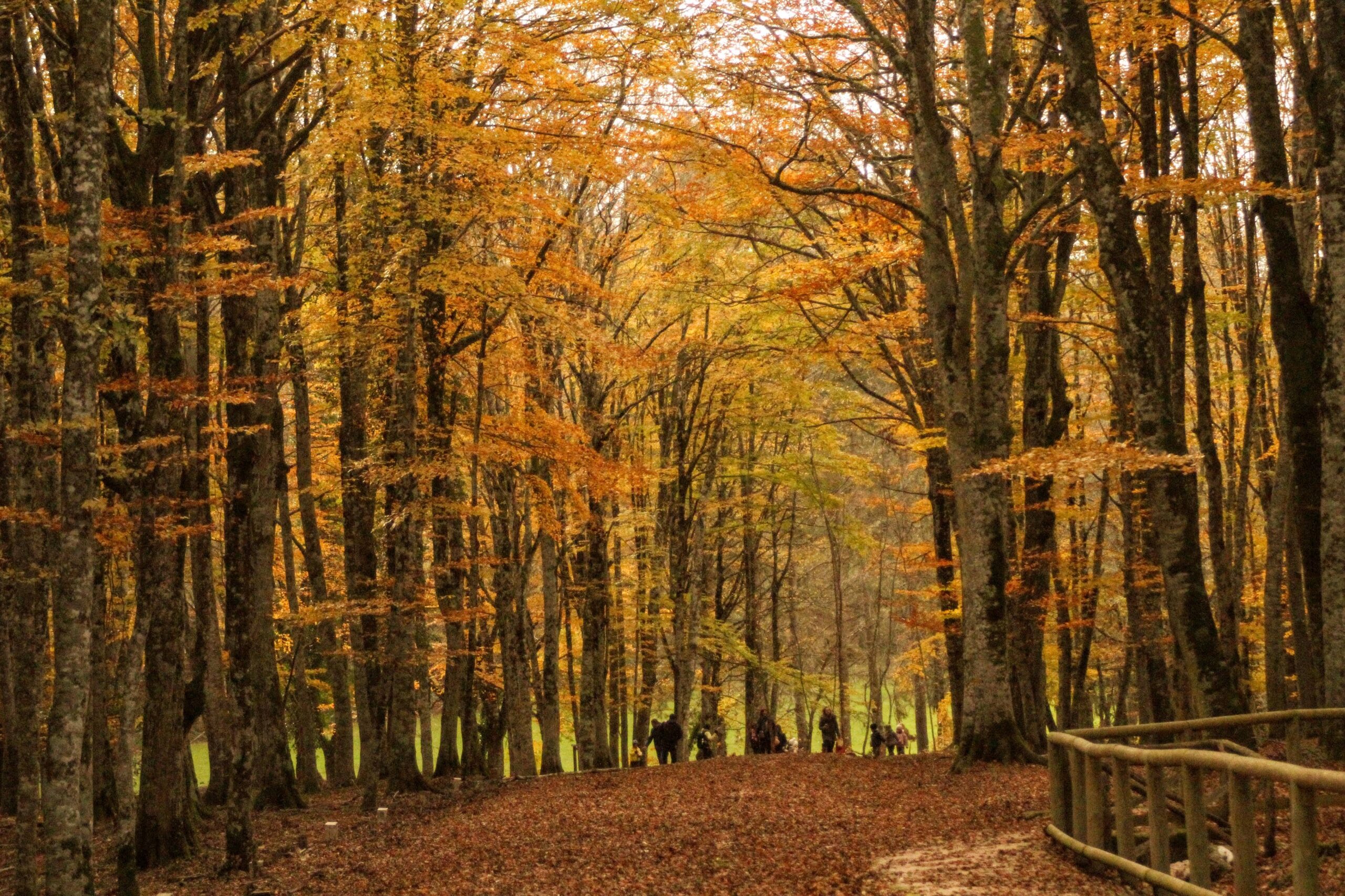 The Gargano in Autumn between villages and natural paradises Vieste